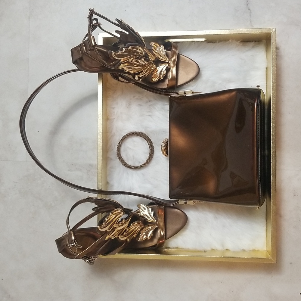 Gorgeous Bronze two-tone Purse